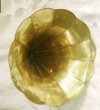 an image of All brass morning glory horn