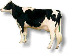 Lilian