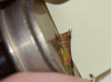 an image of Edison recorder with original box