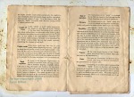Stella catalogue page 3